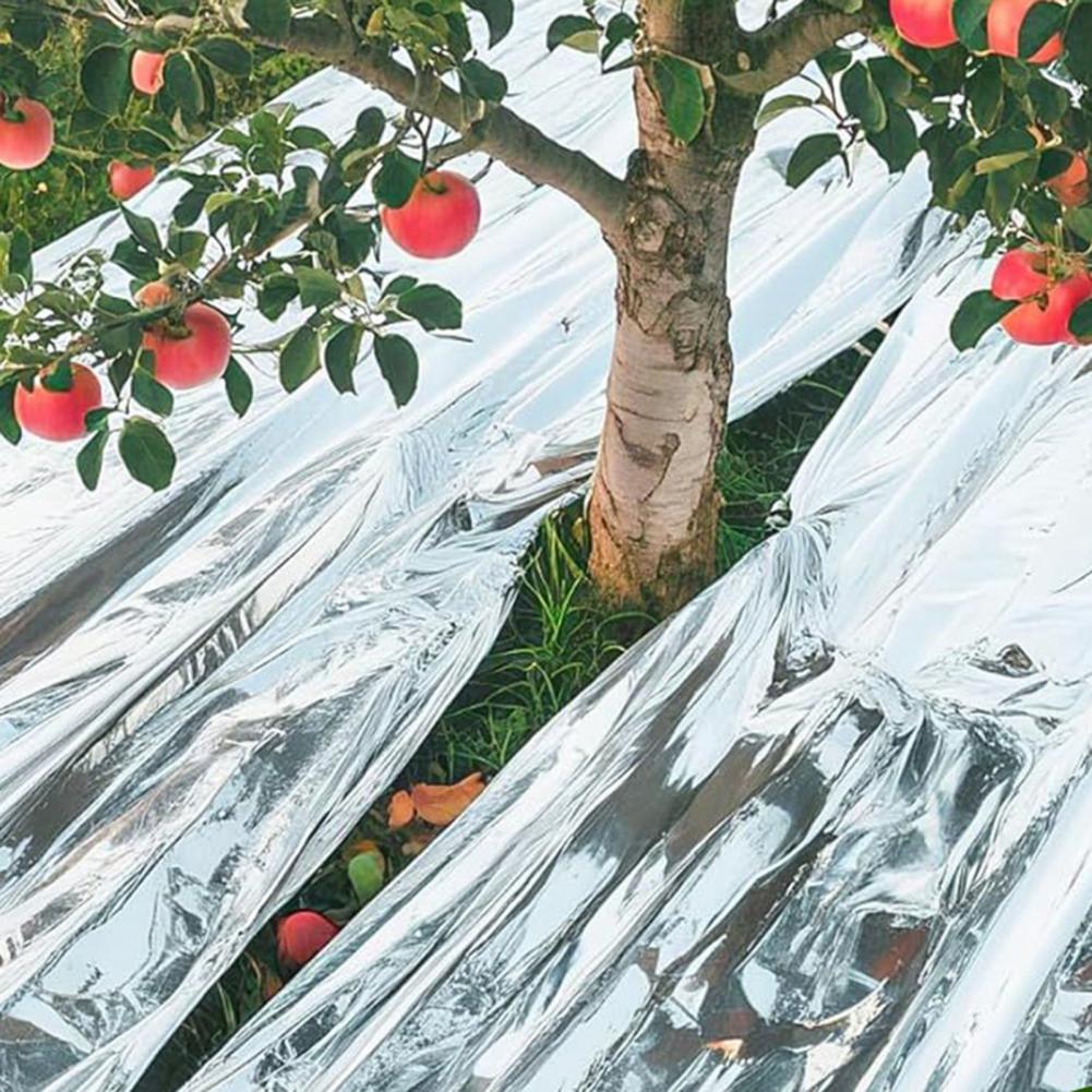 Selimut Termal Darurat yang Di - Emergency Mylar Blanket ulasan dan harga